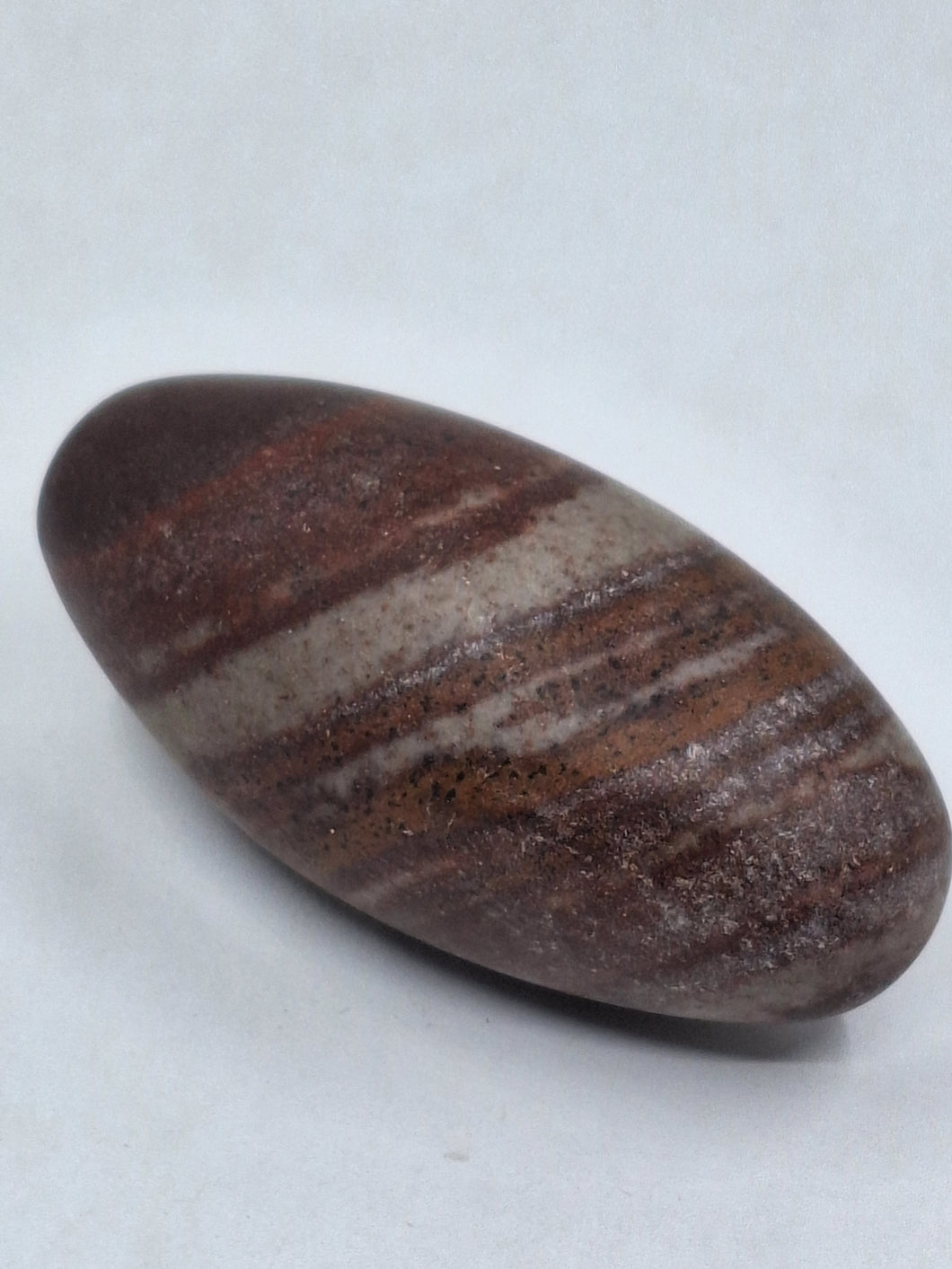 A polished Narmada Shiva Lingam Egg stone, smooth and rounded with brown and white stripe.