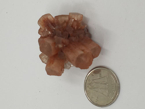 A natural aragonite cluster (sputnick) of reddish color with a coin on a serene white surface.