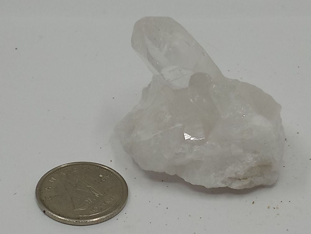 A close-up of a natural quartz crystal cluster with a coin on a serene white background.