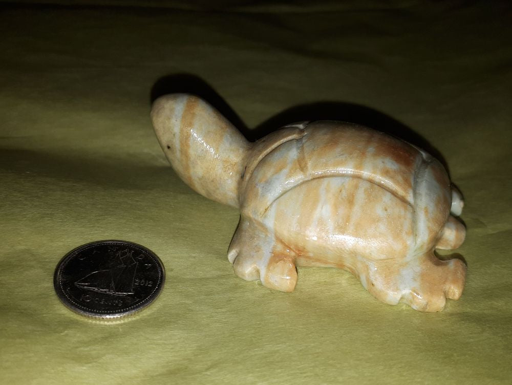 CTURT  Turtle Soapstone Carving Varnished