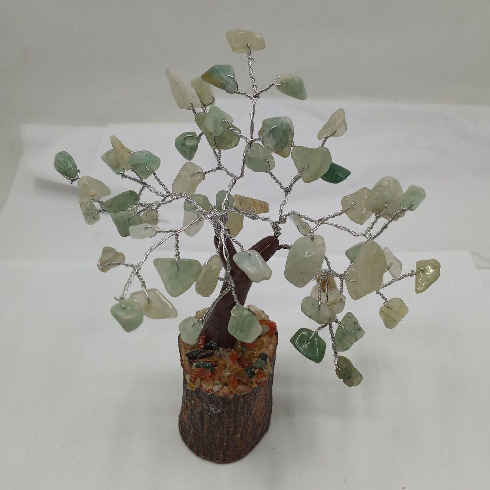 GTJA01 Jade Bonsai Tree 4