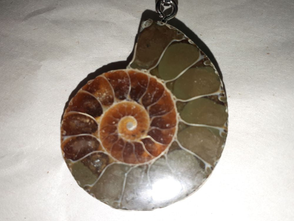 PEAMM Ammonite Pendant