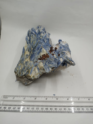 A natural blue Kyanite Chunk crystal with scale on serene white surface, unique shape.